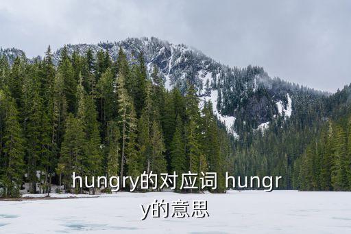 hungry,饑餓:感覺饑餓了；