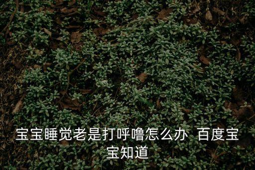 寶寶睡覺老是打呼嚕怎么辦  百度寶寶知道
