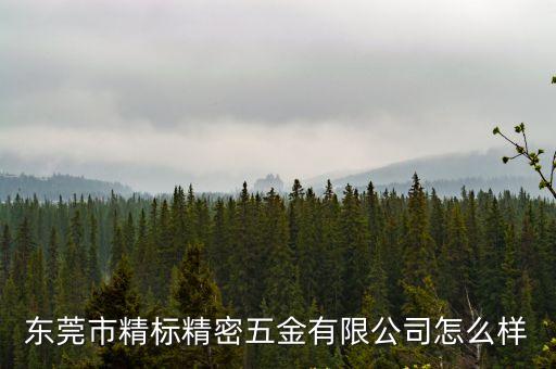 東莞市巨邦精密制造科技有限公司怎么樣，江蘇巨寶精密加工公司怎么樣啊