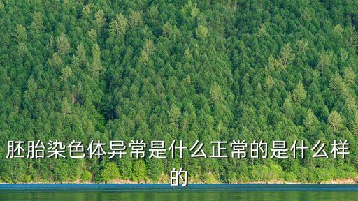 胚胎染色體異常是什么正常的是什么樣的