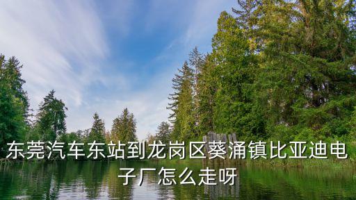 東莞汽車東站到龍崗區葵涌鎮比亞迪電子廠怎么走呀