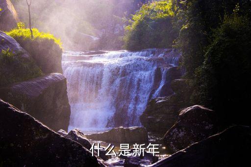 新年是什么，什么是新年