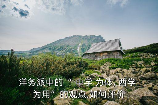 洋務(wù)派中的“ 中學(xué) 為體, 西學(xué) 為用”的觀點(diǎn),如何評(píng)價(jià)
