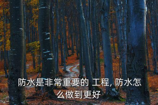  防水是非常重要的 工程, 防水怎么做到更好