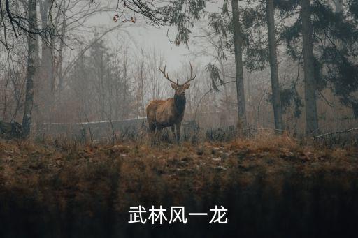 武林風一龍