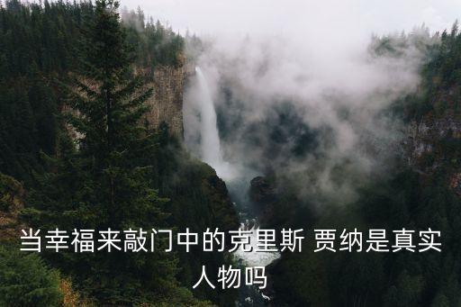 克里斯加納，關于黑人投資家克里斯加德納Chris Gardner 的相關信息