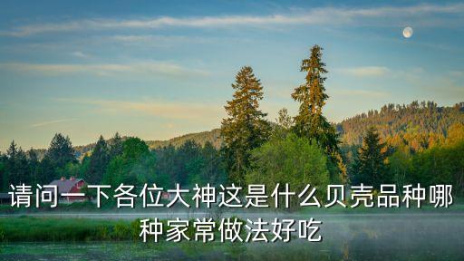 請問一下各位大神這是什么貝殼品種哪種家常做法好吃