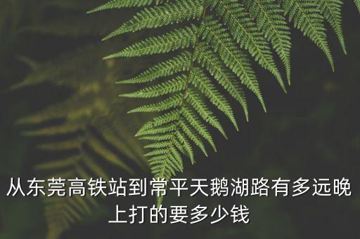 從東莞高鐵站到常平天鵝湖路有多遠(yuǎn)晚上打的要多少錢