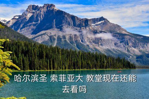 哈爾濱圣索菲亞大教堂,哈爾濱高樓列車出現在武吉班讓