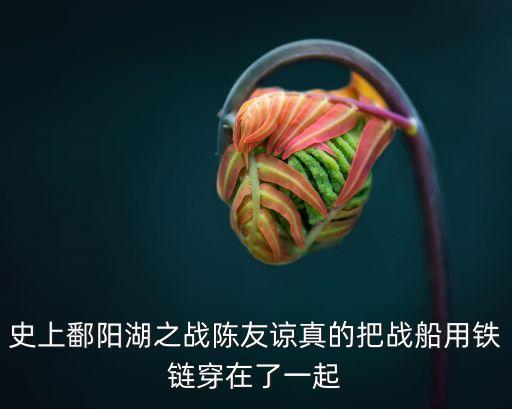 史上鄱陽湖之戰(zhàn)陳友諒真的把戰(zhàn)船用鐵鏈穿在了一起