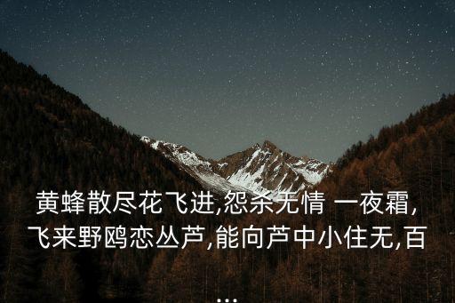 情一夜,藏族少女初入愛情深淵大雁全散花全飛