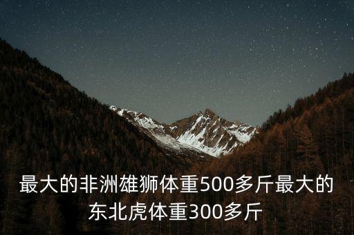 800公斤史上最大的老虎