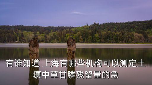 上海市農藥研究分析中心，上海正規的農藥檢測機構有哪些