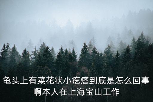 上海市寶山區食藥監周杰，上海市寶山區廟行鎮共康六村