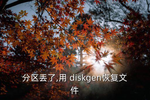 分區丟了,用 diskgen恢復文件
