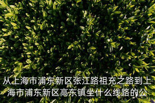 從上海市浦東新區張江路祖充之路到上海市浦東新區高東鎮坐什么線路的公