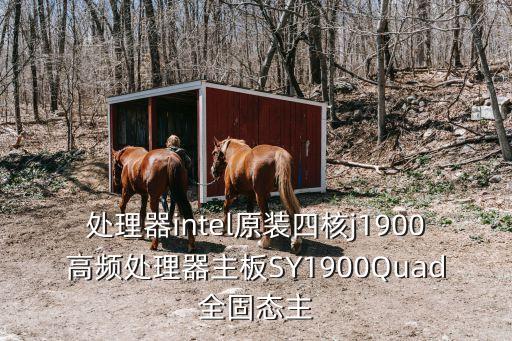 處理器intel原裝四核j1900高頻處理器主板SY1900Quad全固態主