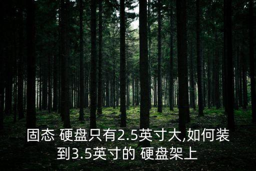 固態 硬盤只有2.5英寸大,如何裝到3.5英寸的 硬盤架上
