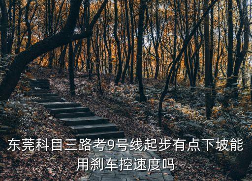 東莞科目三路考9號(hào)線起步有點(diǎn)下坡能用剎車控速度嗎
