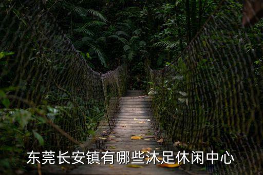 東莞長安鎮(zhèn)有哪些沐足休閑中心