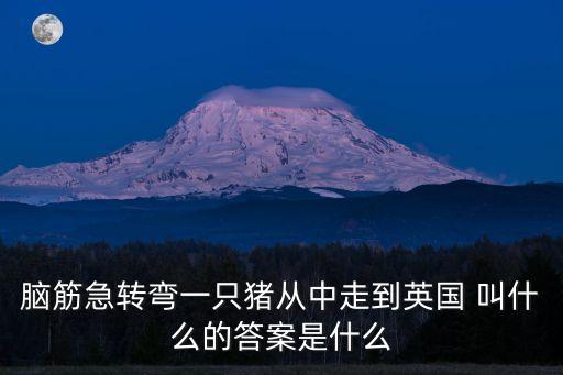 一頭豬從中國走到英國叫什么，一頭豬從中國走到英國它的名字叫什么