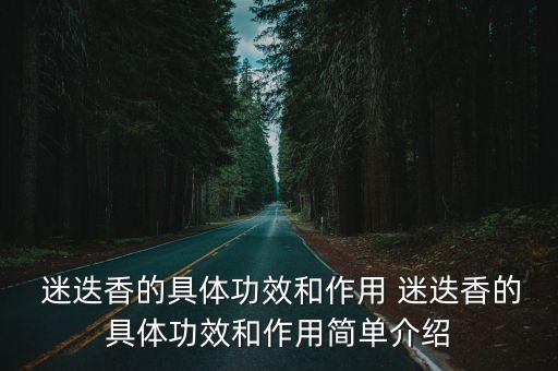 迷迭香的功效,迷迭香營養豐富可食用有助預防冠病
