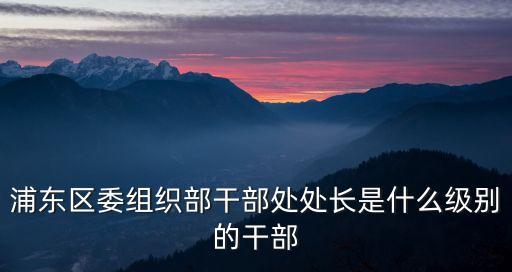 上海市干部處處長(zhǎng)，上海女處級(jí)干部延期退休政策有嗎