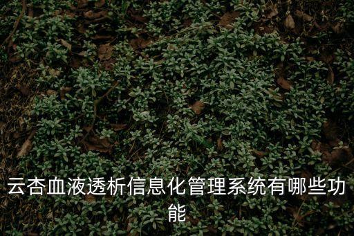 云杏血液透析信息化管理系統有哪些功能