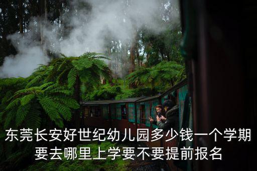 2020年?yáng)|莞民辦幼兒園學(xué)費(fèi)，東莞小小太陽(yáng)幼兒園的收費(fèi)標(biāo)準(zhǔn)是多少