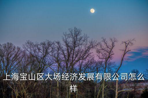 上海寶山區大場經濟發展有限公司怎么樣