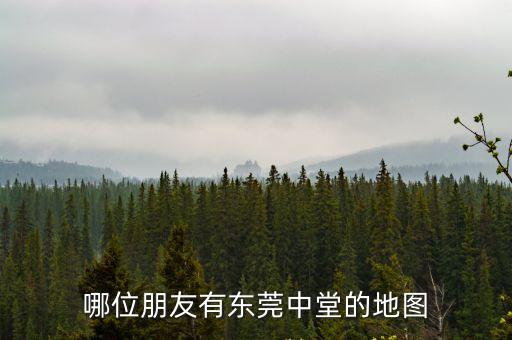 東莞中村規劃圖，哪位朋友有東莞中堂的地圖