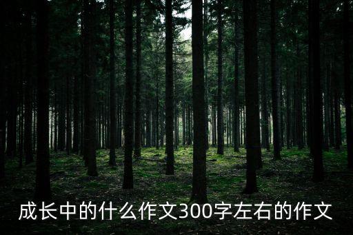 成長(zhǎng)中的什么作文300字左右的作文