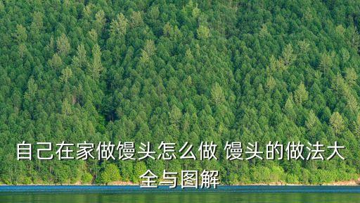 自己在家做饅頭怎么做 饅頭的做法大全與圖解