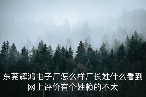 東莞輝鴻電子廠怎么樣廠長姓什么看到網上評價有個姓賴的不太