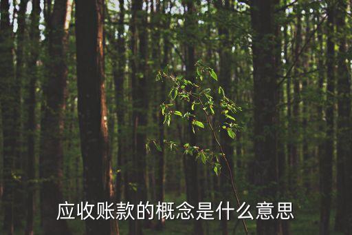 應收款是什么意思，應收款項是什么意思