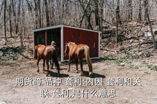 期貨跨 品種 套利:內因 套利和關聯 套利,是什么意思