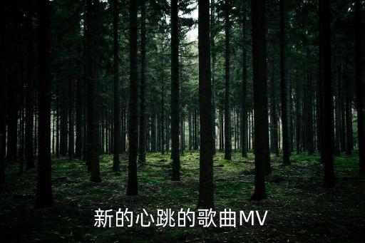 新的心跳的歌曲MV