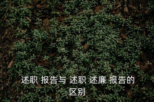 述職述廉報告,兩份述職述廉報告有何不同?一文看懂