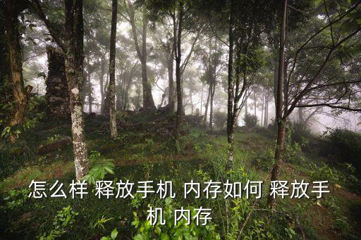 釋放內(nèi)存,點(diǎn)擊手機(jī)管家app進(jìn)入下個(gè)步驟