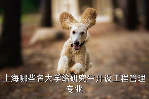 上海市建設工程管理，上海市有哪幾家工程管理公司想思頤科技ssoe等等的最好有