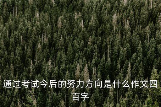 通過考試今后的努力方向是什么作文四百字