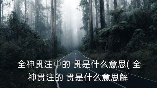 全神貫注的貫是什么意思,全神貫注de貫是什么意思（一）
