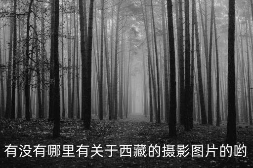 有沒有哪里有關于西藏的攝影圖片的喲