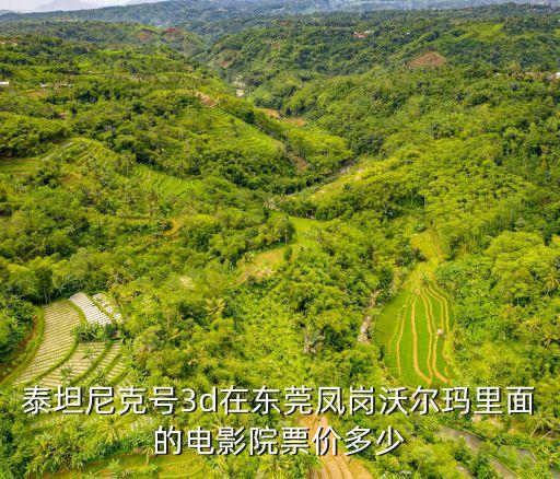 東莞泰坦場地，泰坦尼克號3d在東莞鳳崗沃爾瑪里面的電影院票價多少