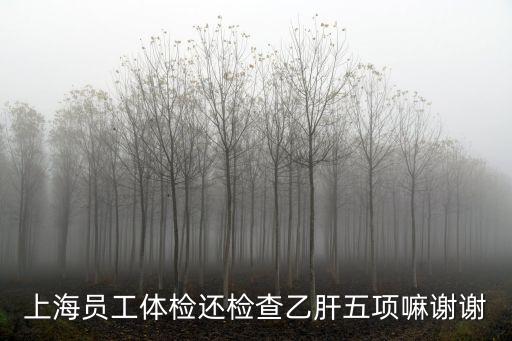 上海市入職體檢還查乙肝嗎，上海入職體檢還做乙肝檢查嗎從事IT行業