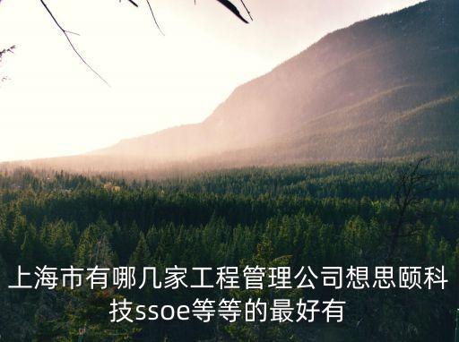 上海市有哪幾家工程管理公司想思頤科技ssoe等等的最好有