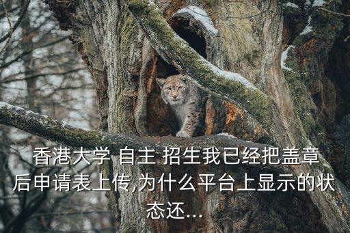 香港大學自主招生,香港大學自主招生網上報名有困難?