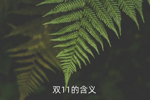 雙11是什么意思，雙11是什么意思啊