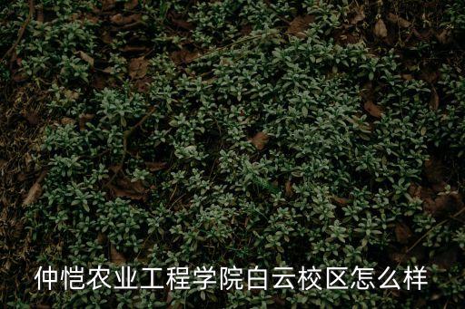 仲愷農業(yè)工程學院白云校區(qū)怎么樣