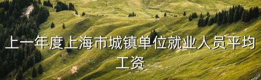 上一年度上海市城鎮(zhèn)單位就業(yè)人員平均工資